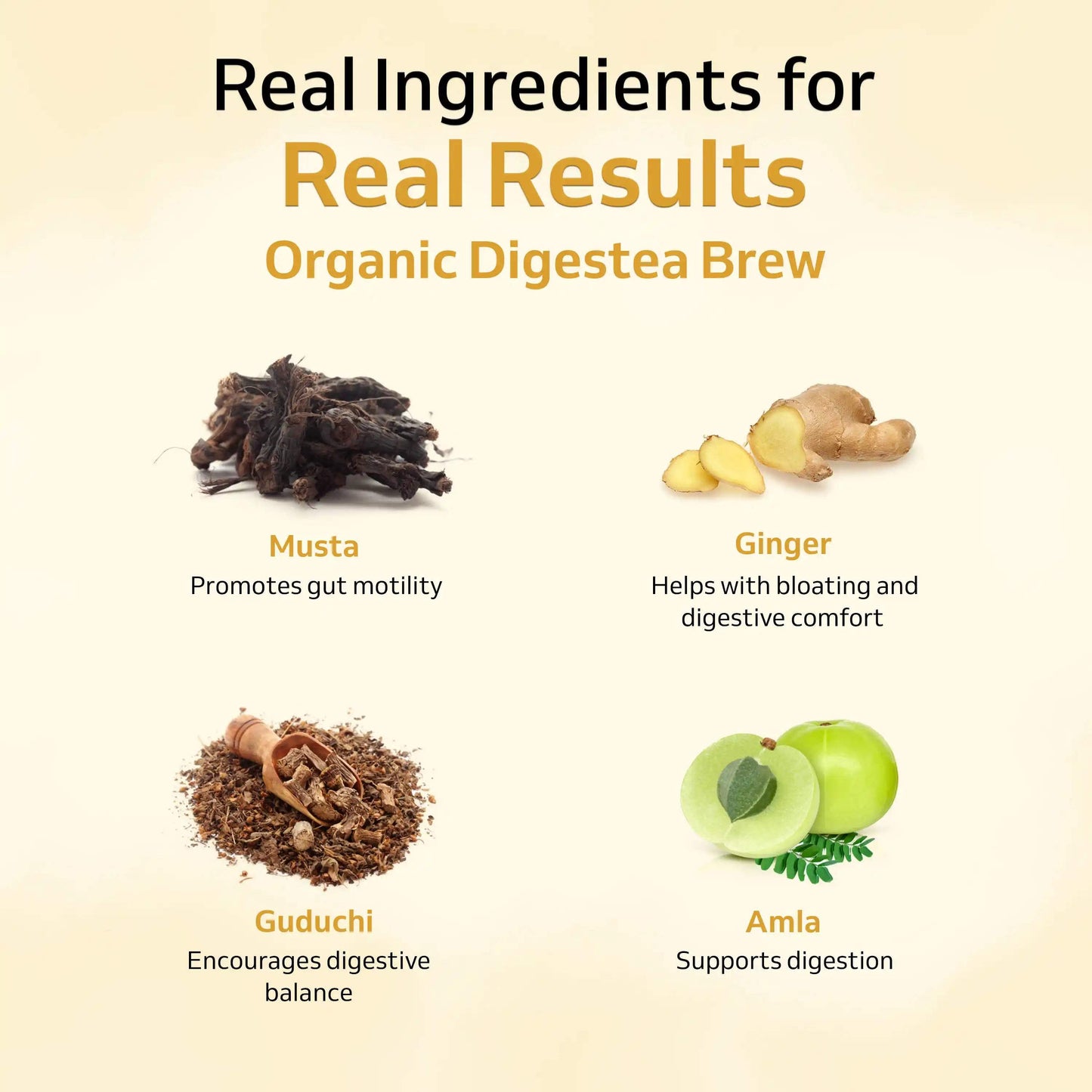 Digestive Balance Pack