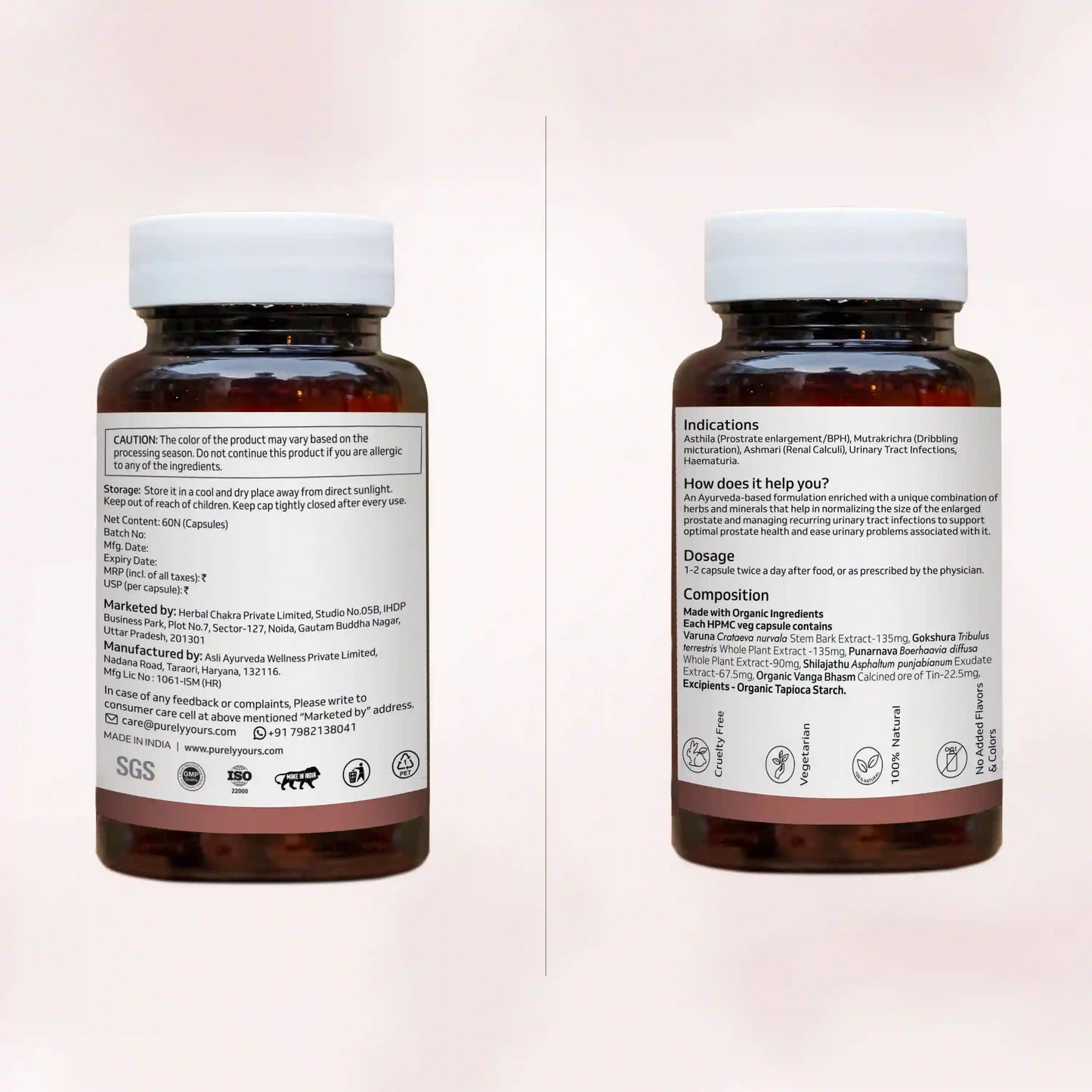 PROST PLUS AYURVEDIC CAPSULES