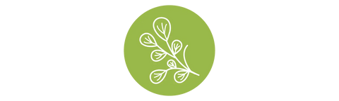 ORGANIC_INGREDIENTS