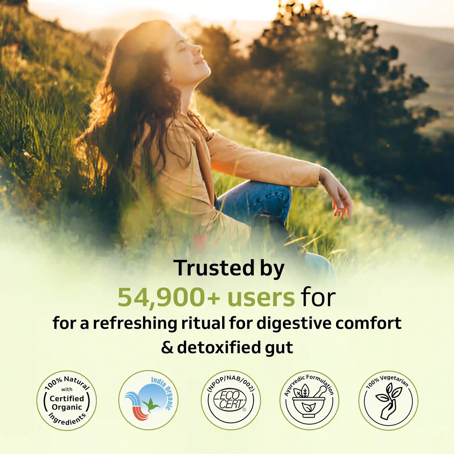 Organic Puritea Brew