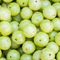 Amla