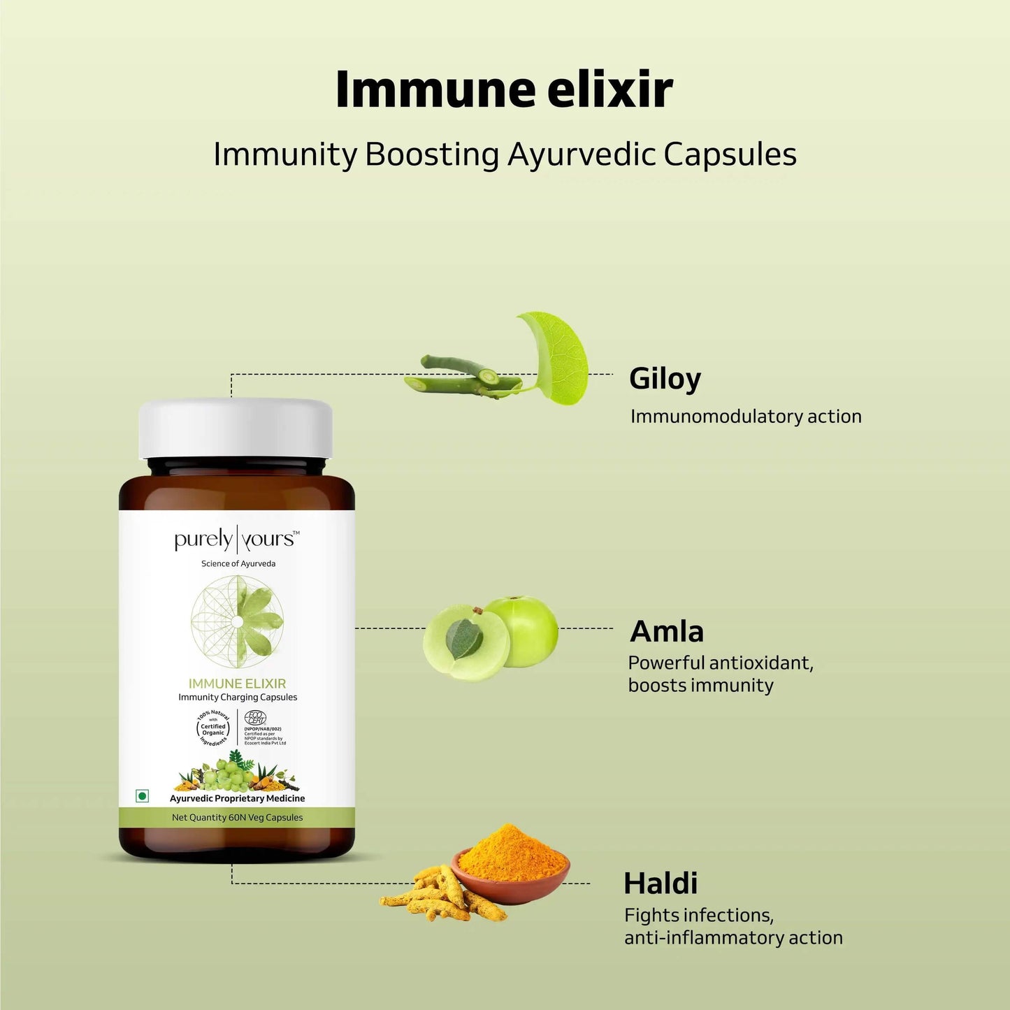 Anti-allergy & Immunity Pack