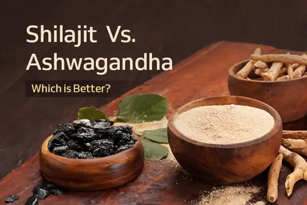 Shilajit vs. Ashwagandha: Which is Better?