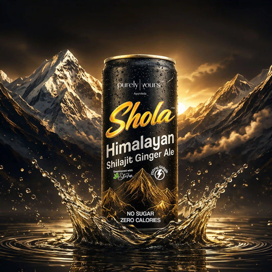 Shola Himalayan Shilajit Ginger Ale