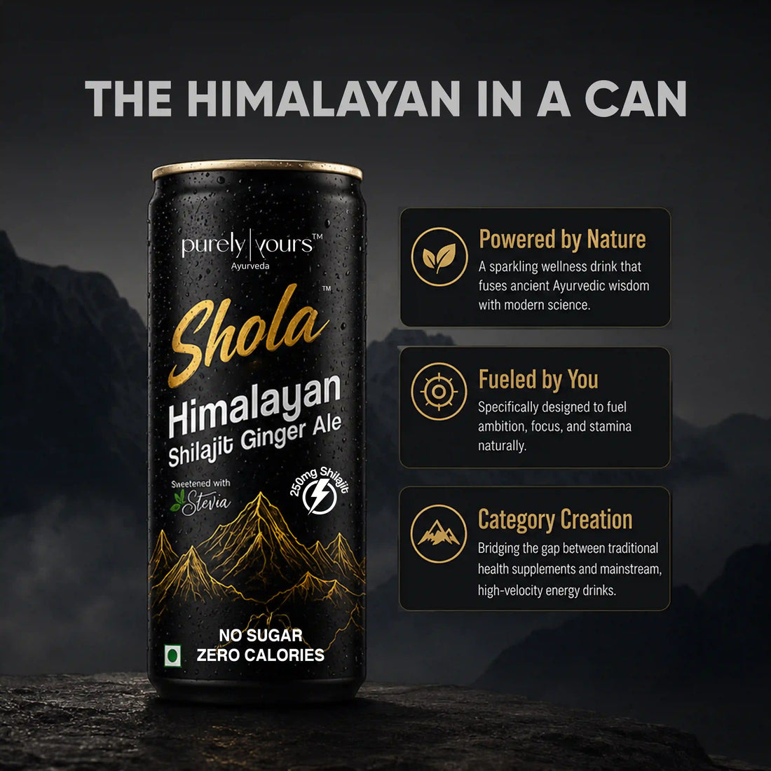 Shola Himalayan Shilajit Ginger Ale | Sparkling Wellness Drink