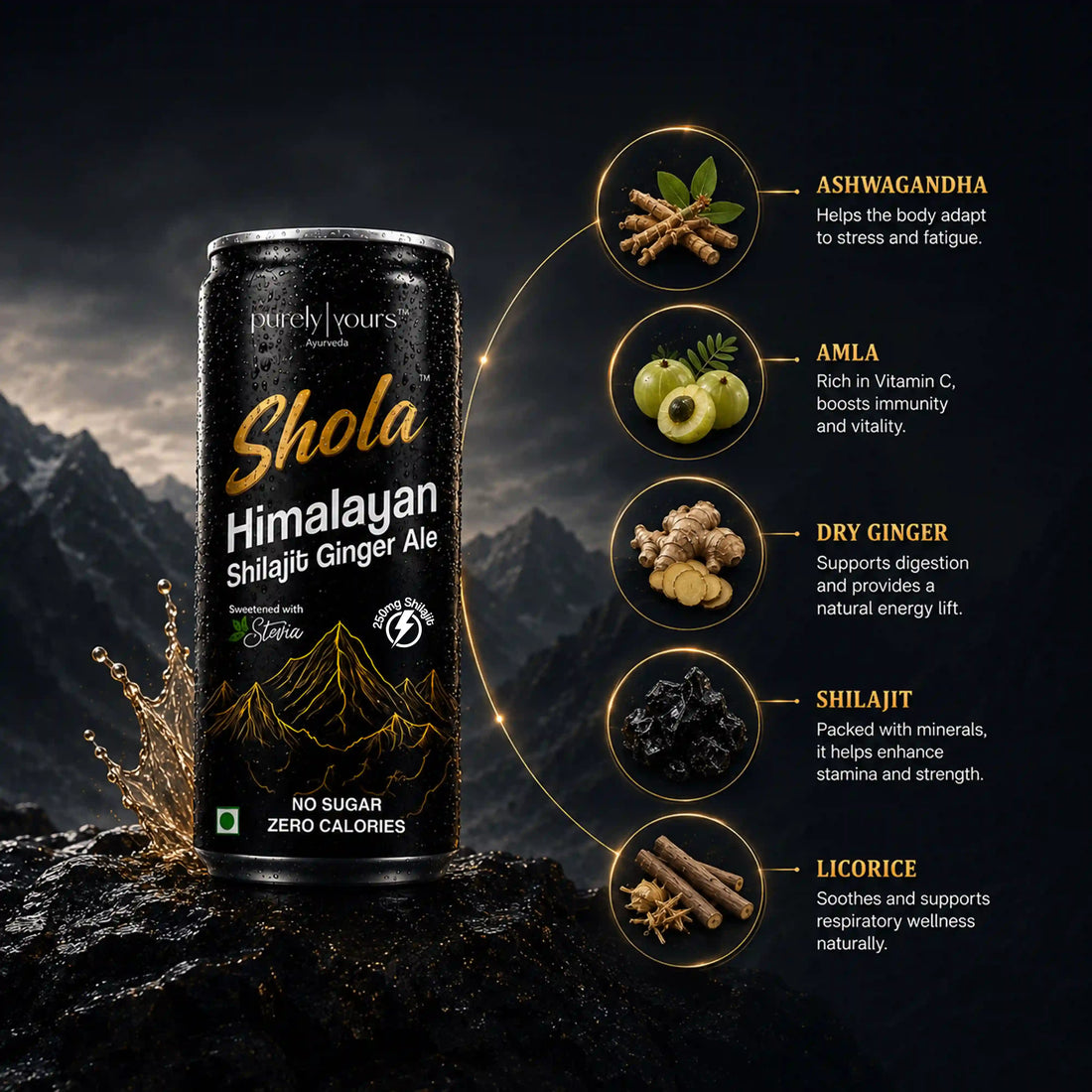 Shola Himalayan Shilajit Ginger Ale | Sparkling Wellness Drink