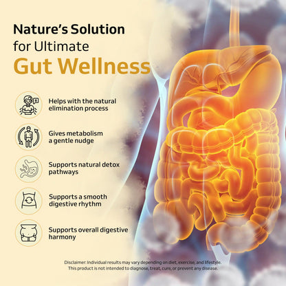 Nutra Gut | Gut health supplement