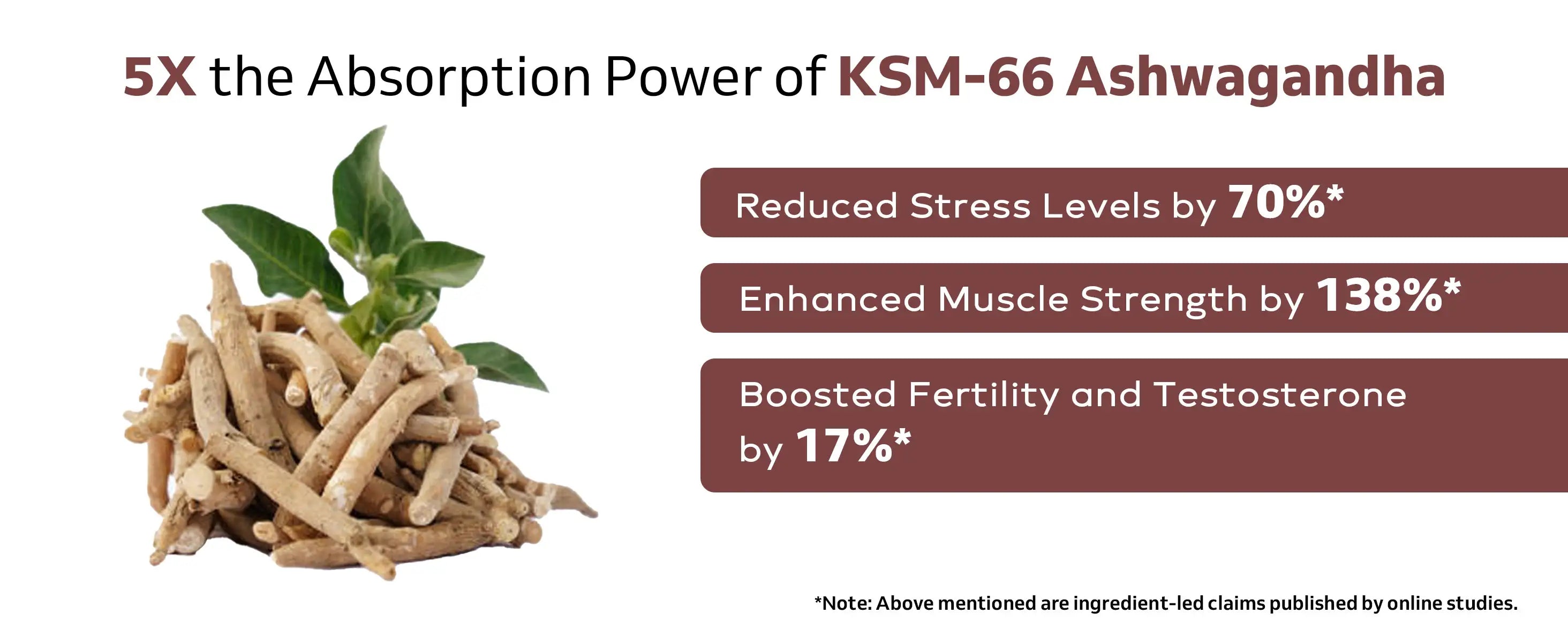 Description image for ASHWA VIGOUR WITH KSM 66 ASHWAGANDHA