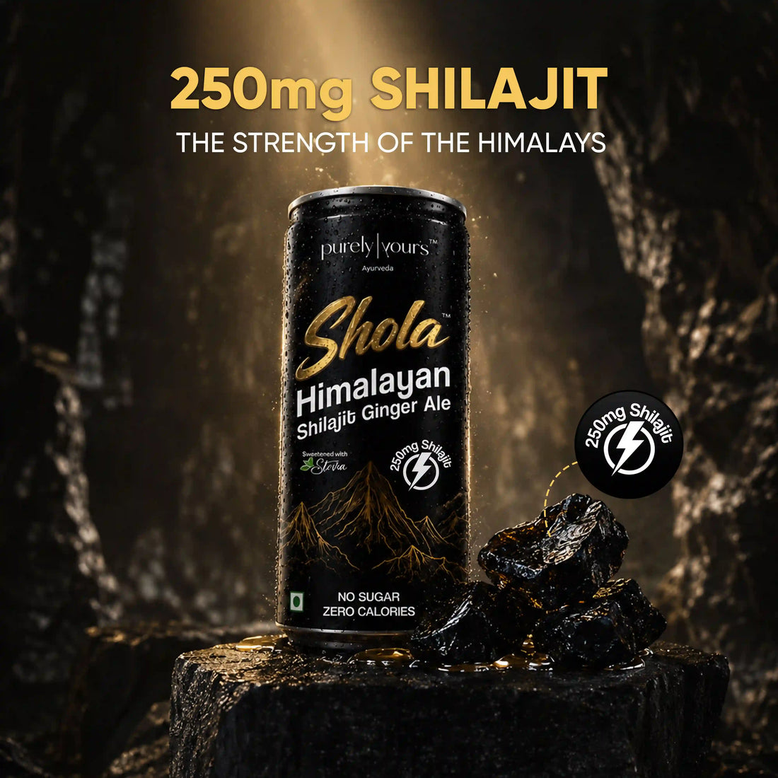 Shola Himalayan Shilajit Ginger Ale | Sparkling Wellness Drink