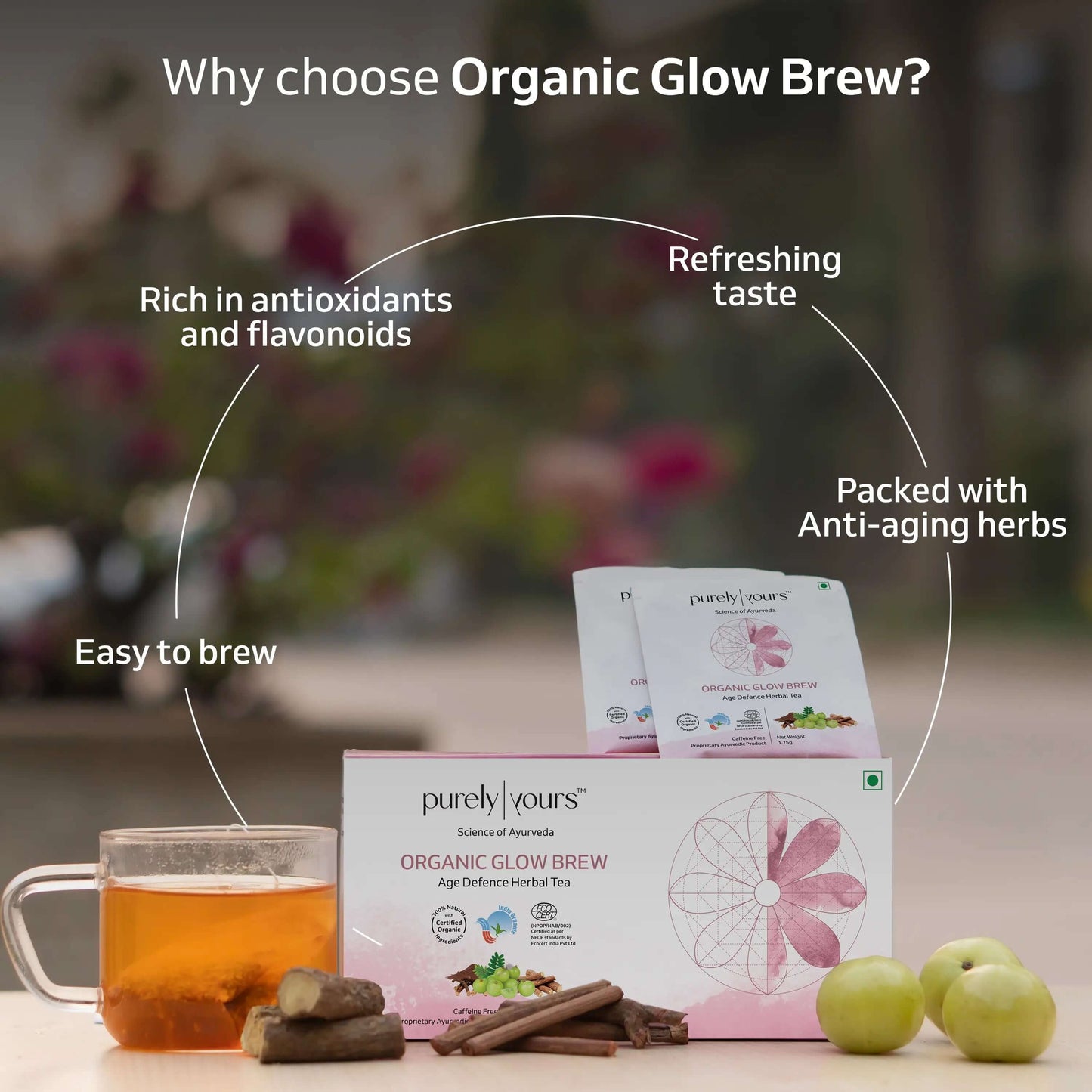 Organic Glow Brew | skin glow and brightening tea