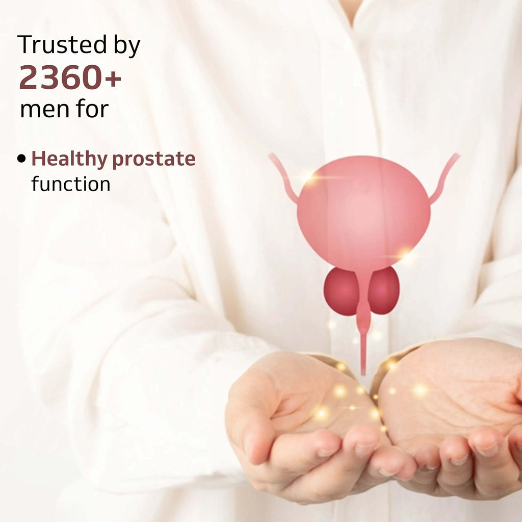 Ayurvedic Capsules for Enlarged Prostate Relief | 60 Veg Capsules ...